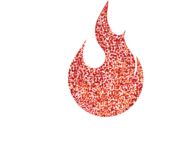 Logo FFW Neusaess